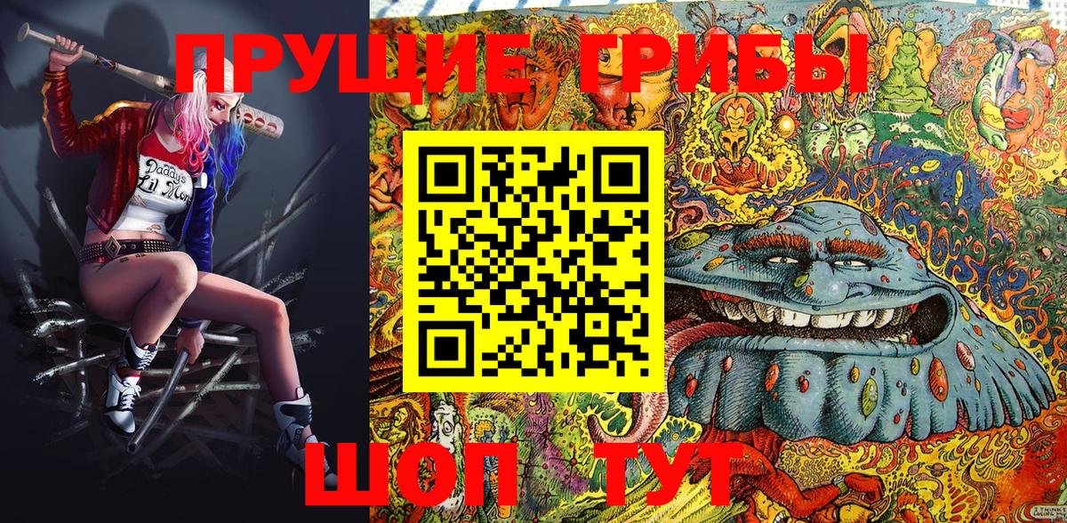 Псилоцибиновые грибы Cubensis  Вход с VPN  Избербаш 